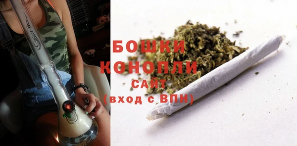PSILOCYBIN Осинники