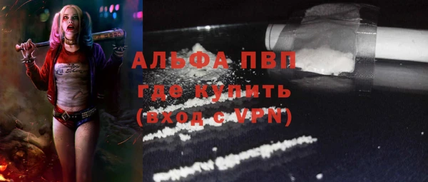 PSILOCYBIN Осинники